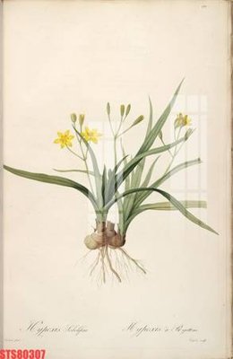 Tải file gốc Tranh sơn dầu phương tây tổng hợp STS80307 (bản PSD) gốc