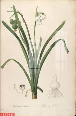 Mua file gốc Tranh sơn dầu phương tây tổng hợp STS80319 (chất lượng) tại Filetranh.com