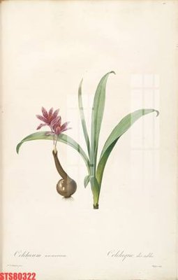 Tải file gốc in lụa Tranh sơn dầu phương tây tổng hợp STS80322 siêu nét