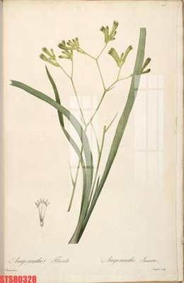 File gốc Tranh sơn dầu phương tây tổng hợp STS80328 (ảnh rõ nét) để in