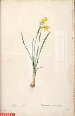 File tranh gốc Tranh sơn dầu phương tây tổng hợp STS80329 (bản quyền) file PSD