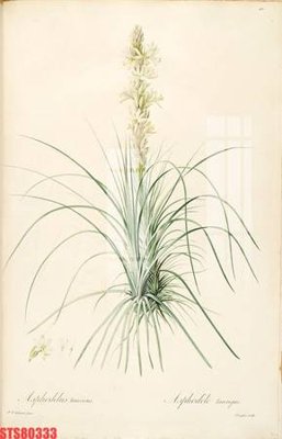 File PSD Tranh sơn dầu phương tây tổng hợp STS80333 (gốc) tách lớp chi tiết