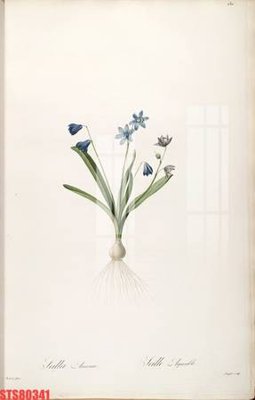 Tải file Tranh sơn dầu phương tây tổng hợp STS80341 (PSD) cho in tranh 3D