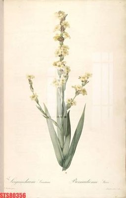 File in ấn cao cấp Tranh sơn dầu phương tây tổng hợp STS80356 (file gốc)