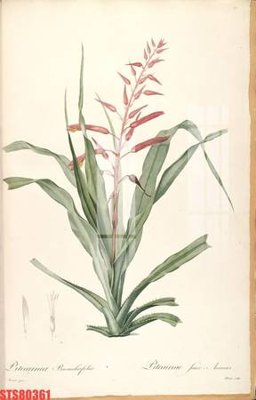 File in mica Tranh sơn dầu phương tây tổng hợp STS80361 (bản gốc) sắc sảo