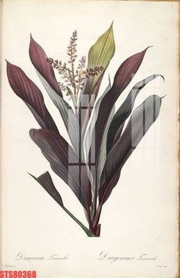 File tranh Tranh sơn dầu phương tây tổng hợp STS80368 (gốc) in trên kính