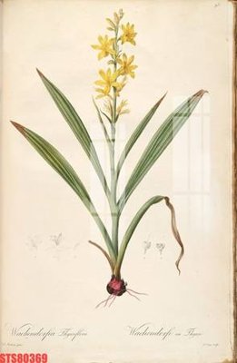 File in trần Tranh sơn dầu phương tây tổng hợp STS80369 (file gốc) chủ đề vũ trụ