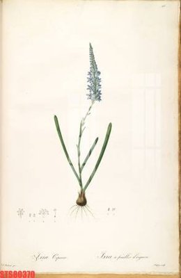 Tải file gốc Tranh sơn dầu phương tây tổng hợp STS80370 (in khổ lớn) không vỡ