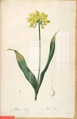 File tranh Tranh sơn dầu phương tây tổng hợp STS80371 (gốc) in vải canvas