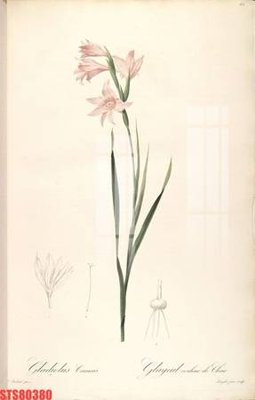 File tranh Tranh sơn dầu phương tây tổng hợp STS80380 (ảnh gốc) in trần nhà