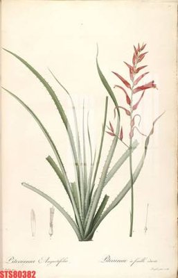 Tải file Tranh sơn dầu phương tây tổng hợp STS80382 (gốc) in ấn ngay lập tức