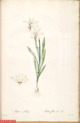 Hình ảnh file gốc Tranh sơn dầu phương tây tổng hợp STS80394 (chất lượng cao)