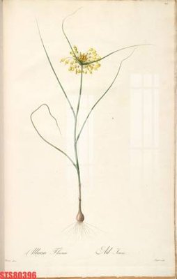 File tranh Tranh sơn dầu phương tây tổng hợp STS80396 (gốc) chủ đề thành phố