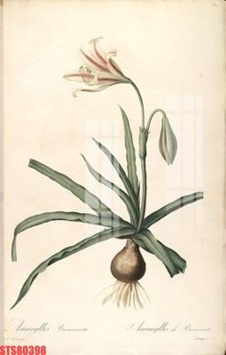 File tranh gốc Tranh sơn dầu phương tây tổng hợp STS80398 (sắc nét từng chi tiết)