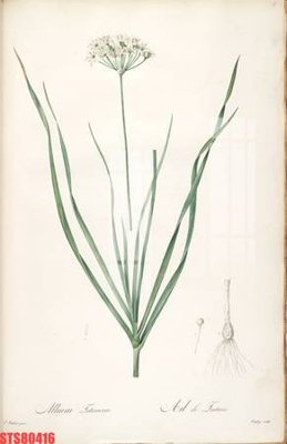 File gốc Tranh sơn dầu phương tây tổng hợp STS80416 (dành cho quảng cáo)