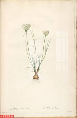 Download file gốc Tranh sơn dầu phương tây tổng hợp STS80417 (in mica) logo