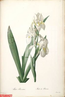 Tải file Tranh sơn dầu phương tây tổng hợp STS80427 (gốc) làm file thiết kế