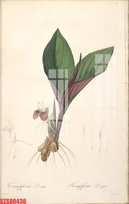 Tải file Tranh sơn dầu phương tây tổng hợp STS80436 (gốc) in ấn ngay lập tức