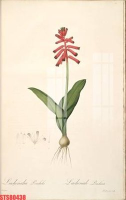 File in ấn Tranh sơn dầu phương tây tổng hợp STS80438 (bản gốc) sắc nét