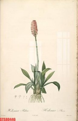 File gốc Tranh sơn dầu phương tây tổng hợp STS80446 (in mica) làm quà tặng