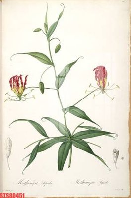 File gốc Tranh sơn dầu phương tây tổng hợp STS80451 (in mica) cắt laser