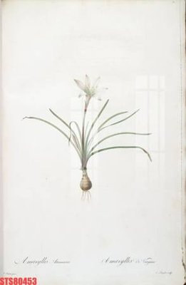 File gốc Tranh sơn dầu phương tây tổng hợp STS80453 cho in ấn và thiết kế