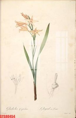 Hình ảnh file gốc Tranh sơn dầu phương tây tổng hợp STS80454 cho in UV