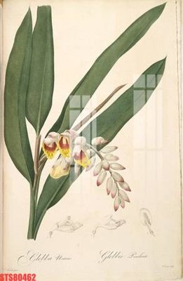 Download file gốc Tranh sơn dầu phương tây tổng hợp STS80462 (in lụa) tranh 3D