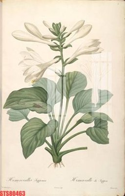 File ảnh Tranh sơn dầu phương tây tổng hợp STS80463 (gốc) in biển hiệu