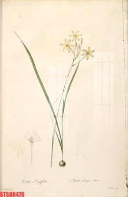 Tệp tin gốc Tranh sơn dầu phương tây tổng hợp STS80476 (dùng cho in) Tranh sơn dầu phương tây tổng hợp STS80476