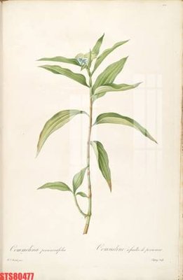 File gốc Tranh sơn dầu phương tây tổng hợp STS80477 (in mica) cắt laser