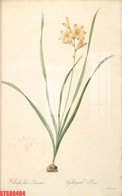 Tải file Tranh sơn dầu phương tây tổng hợp STS80484 (PSD) cho in ấn quảng cáo