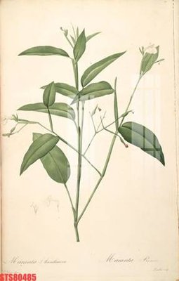 Tải file Tranh sơn dầu phương tây tổng hợp STS80485 (PSD) cho in tranh kính