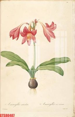 File tranh gốc Tranh sơn dầu phương tây tổng hợp STS80487 (sắc nét từng chi tiết)