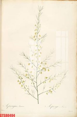 File in trần Tranh sơn dầu phương tây tổng hợp STS80494 (file gốc) phong thủy