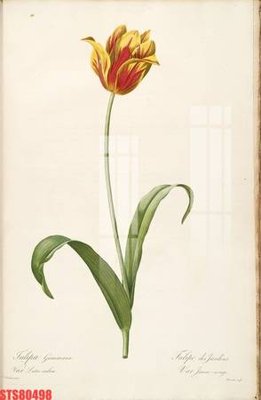 Download file Tranh sơn dầu phương tây tổng hợp STS80498 (gốc) cho xưởng in