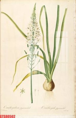 File gốc Tranh sơn dầu phương tây tổng hợp STS80502 (trang trí) phòng ngủ