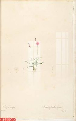 File in trần Tranh sơn dầu phương tây tổng hợp STS80505 (bản gốc) bầu trời