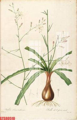 File in mica Tranh sơn dầu phương tây tổng hợp STS80510 (ảnh gốc) đẹp