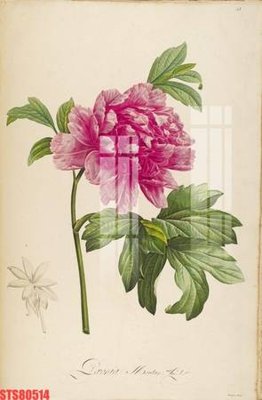 Tải file gốc in lụa Tranh sơn dầu phương tây tổng hợp STS80514 siêu nét