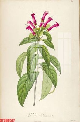 Tải file tranh gốc Tranh sơn dầu phương tây tổng hợp STS80517 chất lượng cao