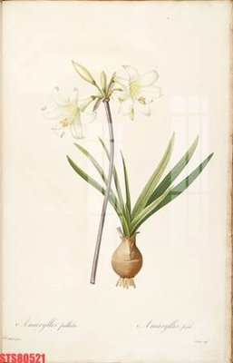 File gốc Tranh sơn dầu phương tây tổng hợp STS80521 (in 3D) cho trang trí