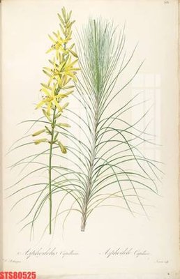 File gốc Tranh sơn dầu phương tây tổng hợp STS80525 (vector) cho in ấn