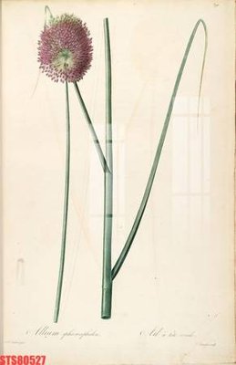 File ảnh Tranh sơn dầu phương tây tổng hợp STS80527 (gốc) in poster