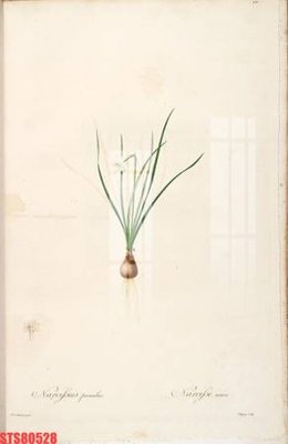 Tải file Tranh sơn dầu phương tây tổng hợp STS80528 (gốc) chủ đề tôn giáo