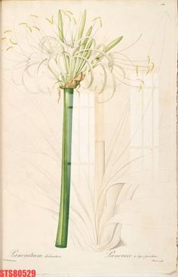 Tải file Tranh sơn dầu phương tây tổng hợp STS80529 (gốc) in nhanh