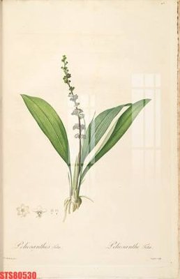 File in trần Tranh sơn dầu phương tây tổng hợp STS80530 (file gốc) phong thủy