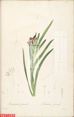 Download file Tranh sơn dầu phương tây tổng hợp STS80533 (gốc) in mica đèn LED