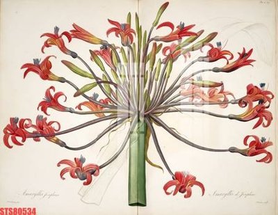 File gốc Tranh sơn dầu phương tây tổng hợp STS80534 (dành cho quảng cáo)