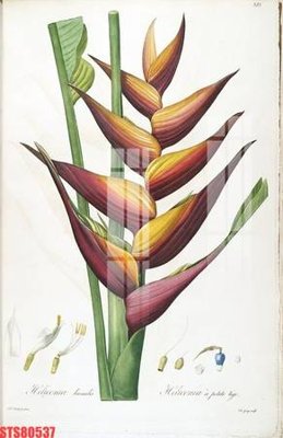 File tranh Tranh sơn dầu phương tây tổng hợp STS80537 (ảnh gốc) sắc nét hoàn hảo